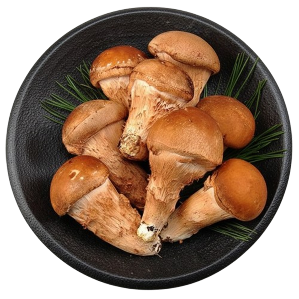 [억수로상회] 무농약 참송이 버섯 (가정용) 300g, 1개 - 상세 이미지 2