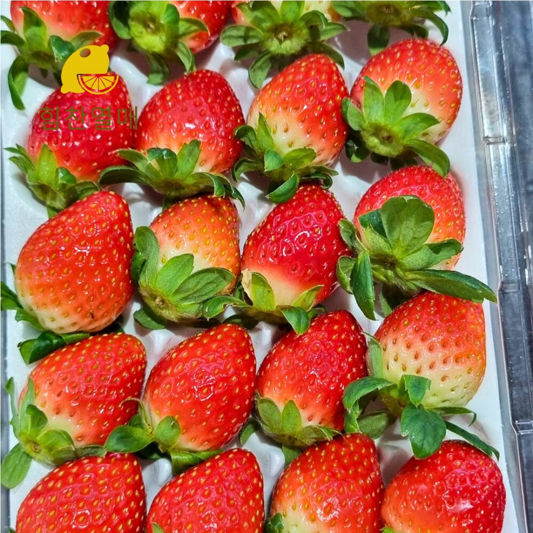 설향딸기 산지직송 프리미엄 생딸기 한입 특과 350g - 상품 이미지