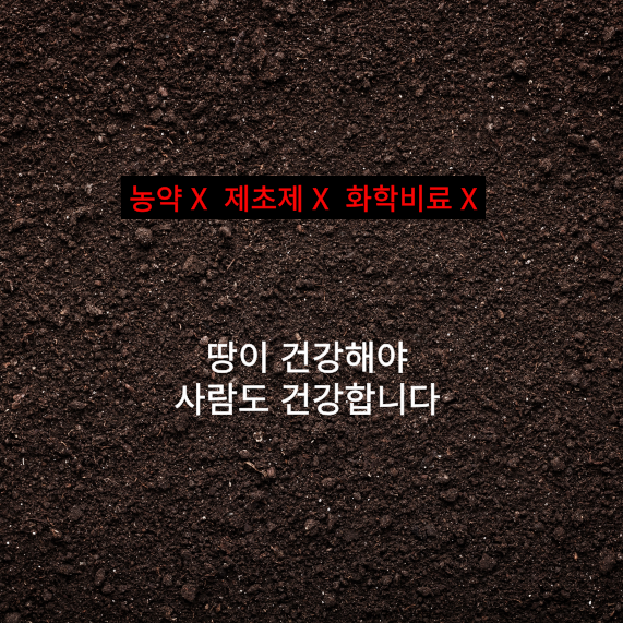 유기농 사과 무농약 2006년 햇 못난이 흠과 아오리 부사 시나노골드 12Brix, 3kg, 1개 - 상세 이미지 3