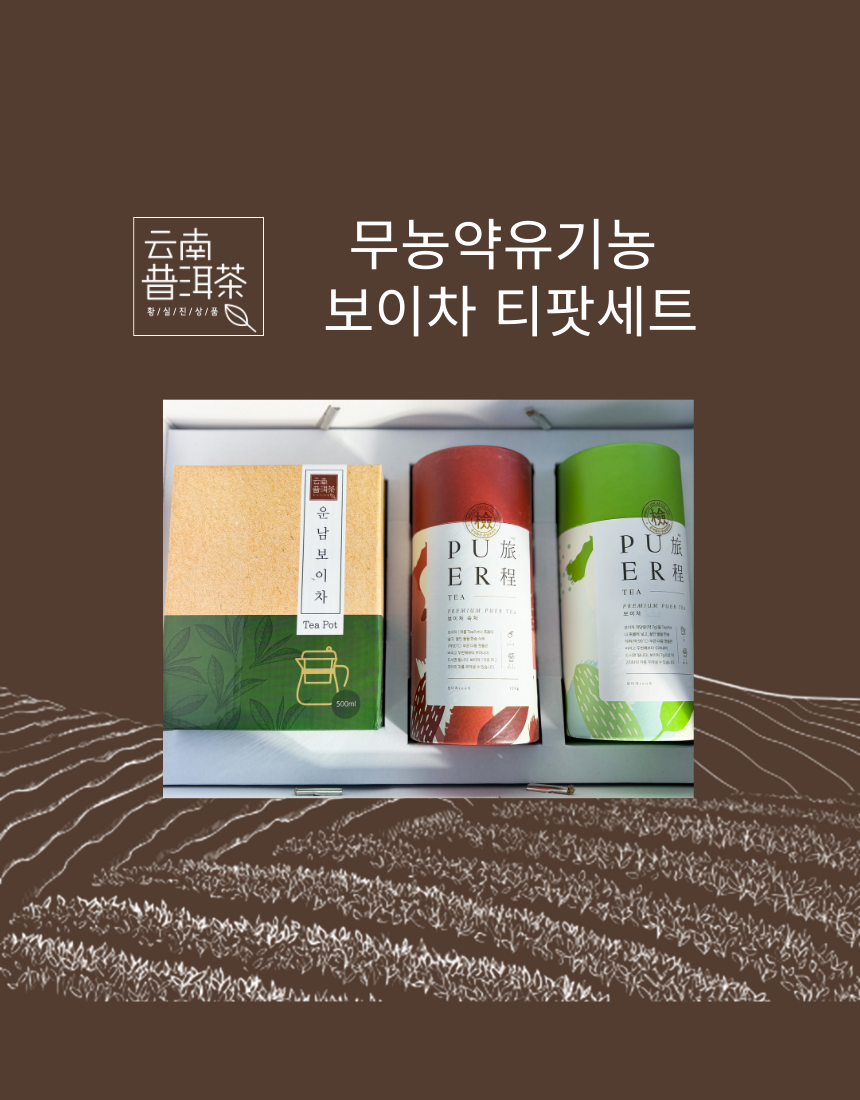 운남성 보이차 중국 효능 숙차 생차 티팟세트 500g, 1개 - 상품 이미지
