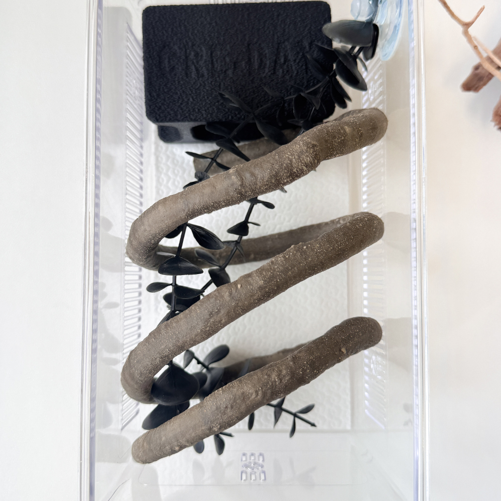 도마뱀 정글 바인 파충류 크레스티드게코 백업 용품 비바리움 인조넝쿨 제품 이미지