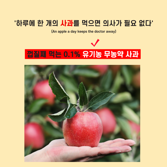 유기농 사과 무농약 2006년 햇 못난이 흠과 아오리 부사 시나노골드 12Brix, 3kg, 1개 - 상세 이미지 2