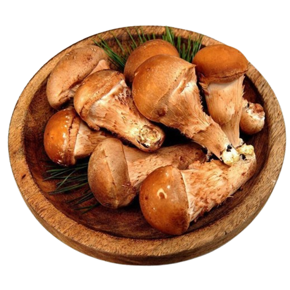 [억수로상회] 무농약 참송이 버섯 (가정용) 300g, 1개 - 상세 이미지 3