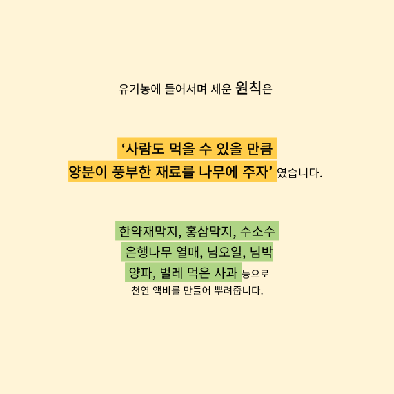 유기농 사과 무농약 2006년 햇 못난이 흠과 아오리 부사 시나노골드 12Brix, 3kg, 1개 - 상세 이미지 5