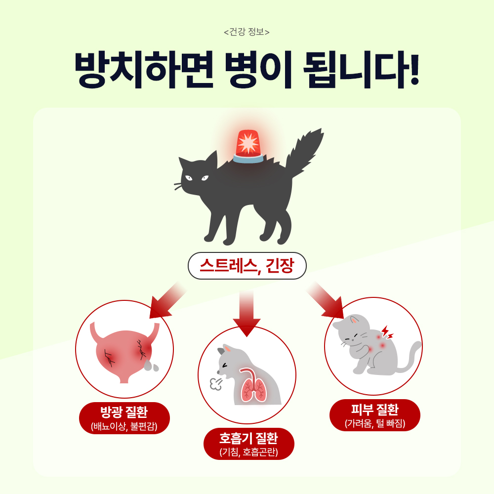 닥터바이 캣카밍 고양이 스트레스 영양제 합사 이사 분리불안 안정제 진정제 30포, 1개