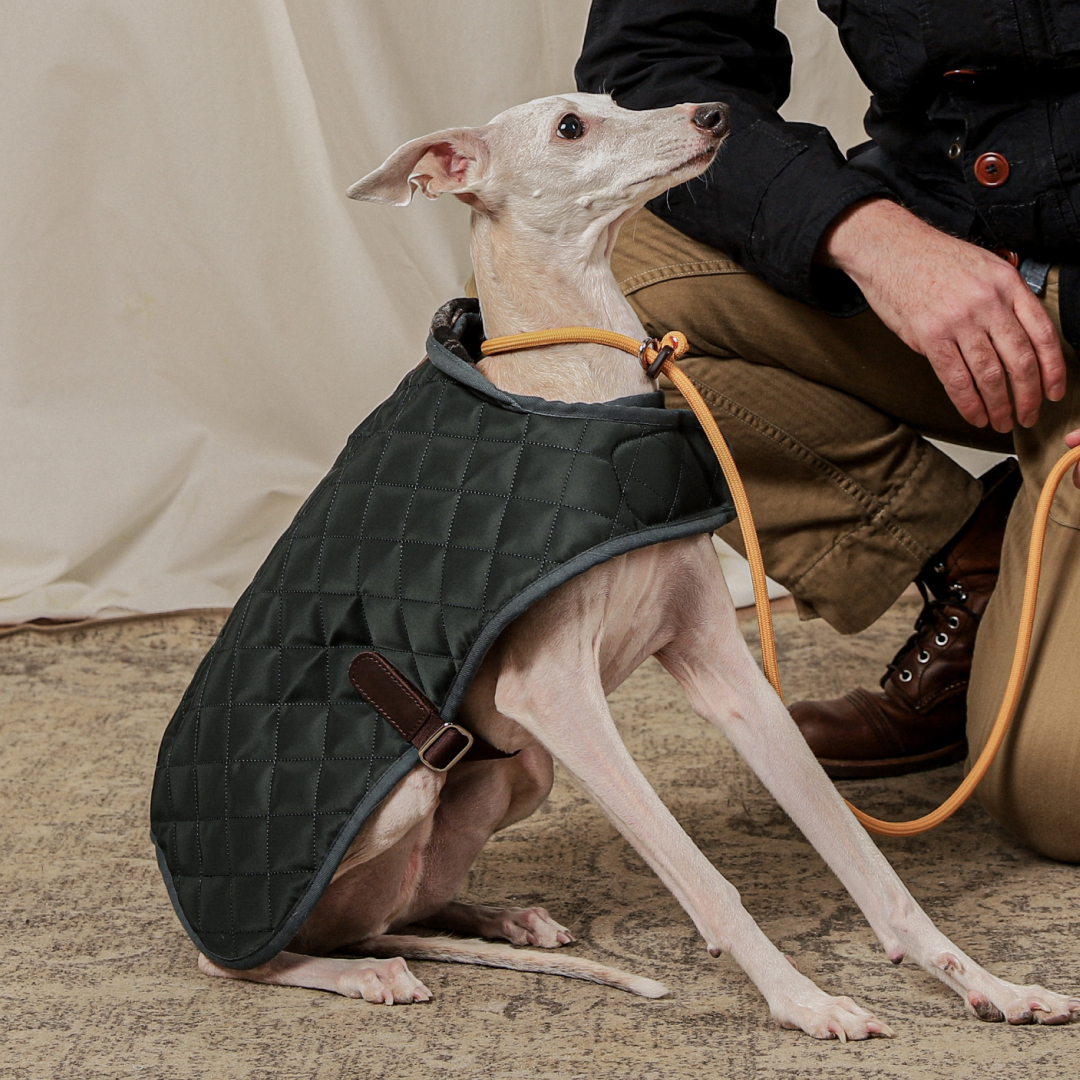 호지 퀼팅자켓 강아지 겨울 패딩 점퍼 방수 방풍 잠바 겨울옷 반려견 소형견 중형견 대형견