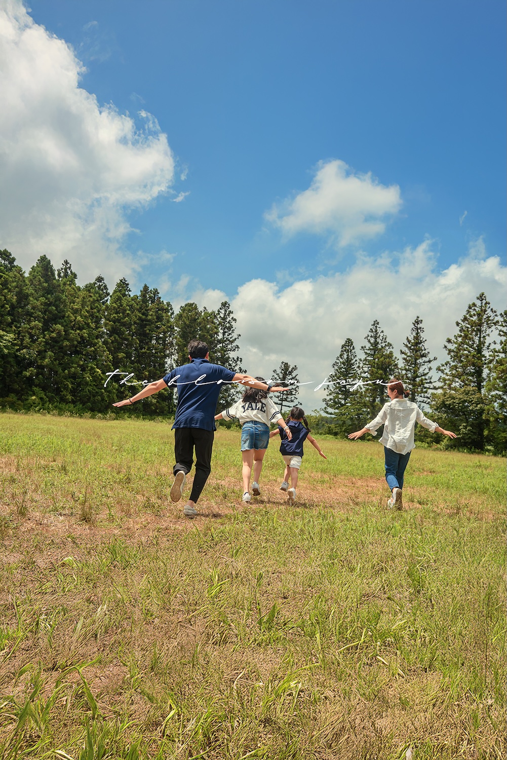 제주 서울스냅 사진촬영 가족스냅 우정 만삭 데이트 웨딩 돌아기 아이 성장... 솔직 후기 | 실사용자 리뷰 분석 - 대표 이미지
