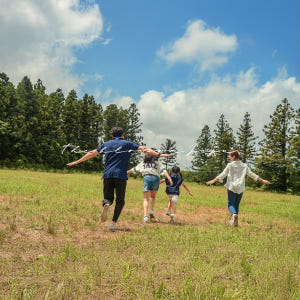 제주 서울스냅 사진촬영 가족스냅 우정 만삭 데이트 웨딩 돌아기 아이 성장... 솔직 후기 | 실사용자 리뷰 분석 - 상품 이미지 1