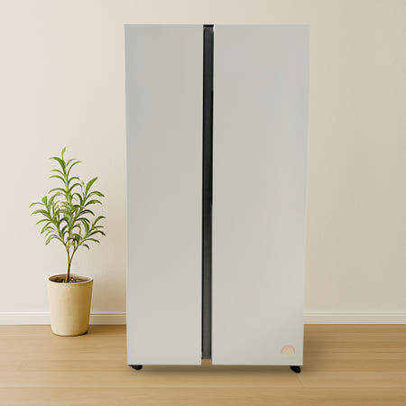 삼성전자 비스포크 RS70F84N2Y (BB)