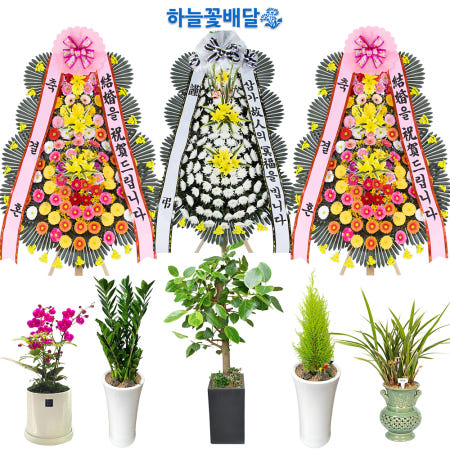 [하늘꽃배달]남원시개업화분 화환 꽃배달