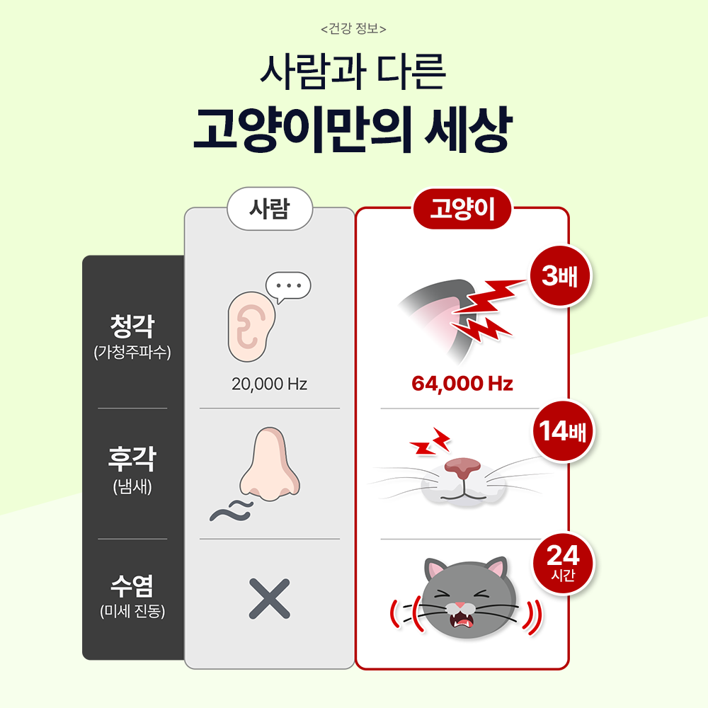 닥터바이 캣카밍 고양이 스트레스 영양제 합사 이사 분리불안 안정제 진정제 30포, 1개