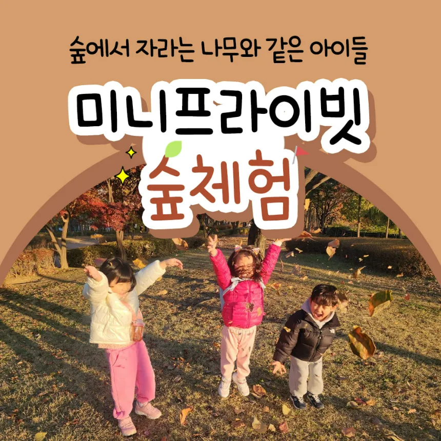 [최대4인] 도란도란 숲 탐험대 | 미니프라이빗 | 서울,경기,대전,부산, 광주 by 숲파티포레 - 상품 이미지