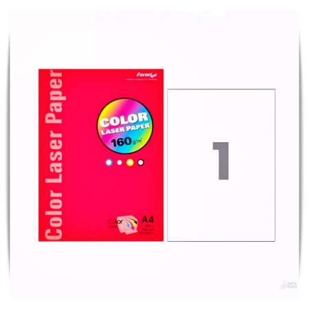 고품질 출력 인쇄용지 폼텍 컬러 레이저 전용지 CL16570 160g 5개입 앤츠런3