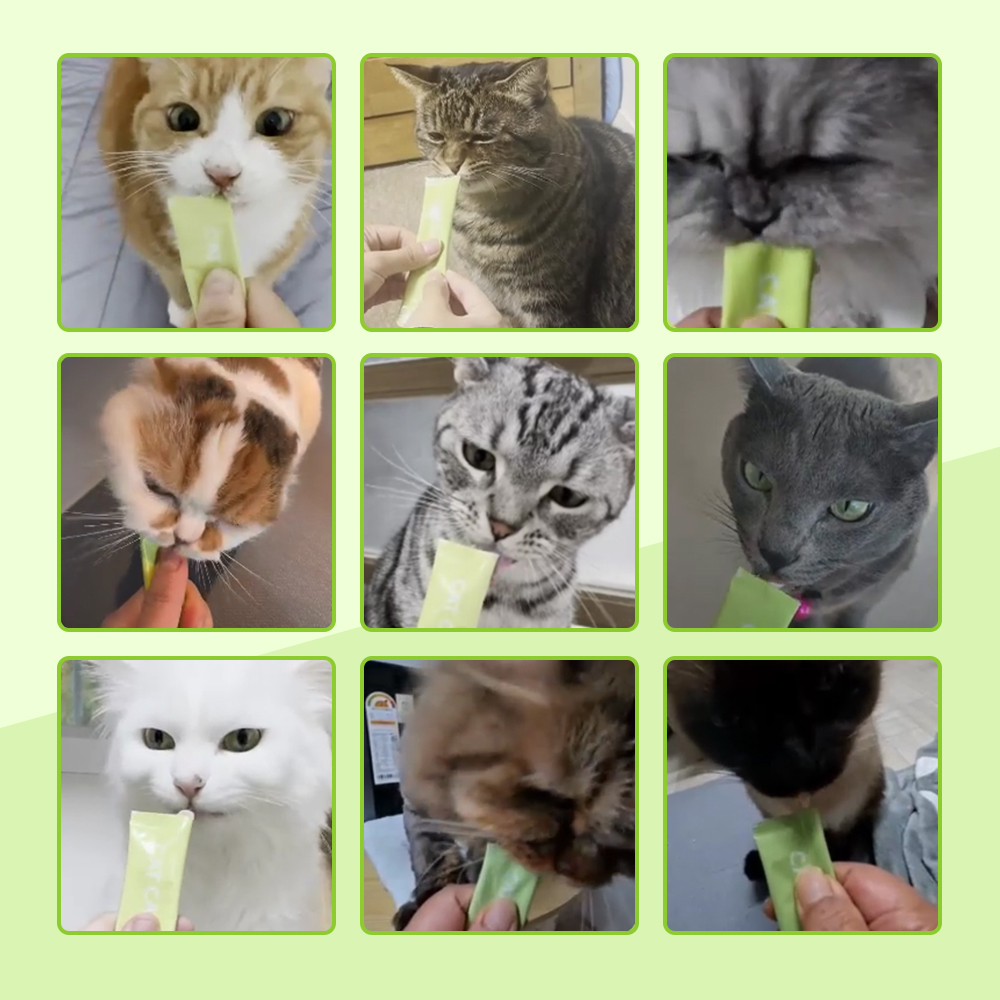 닥터바이 캣카밍 고양이 스트레스 영양제 합사 이사 분리불안 안정제 진정제 30포, 1개