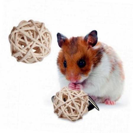 골든햄스터이갈이 장난감 햄스터 햄스터장난감 햄스터이갈이 노즈워크