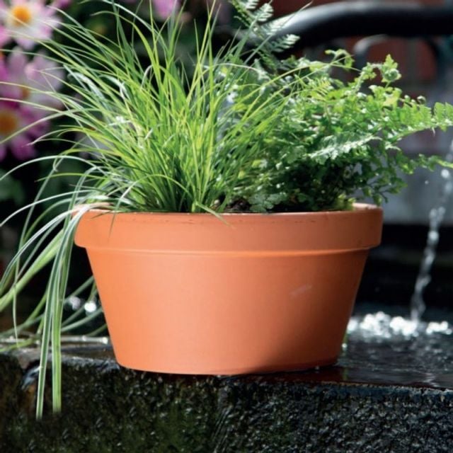 분재화분 클래식 황토색 D15x8.5cm - 메인 이미지