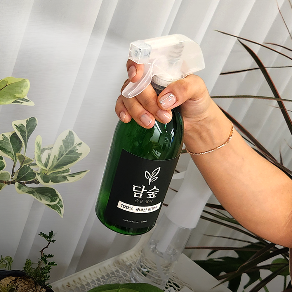 담숲 피톤치드 편백수 스프레이 탈취제 새집증후군 진드기 500ml, 2개