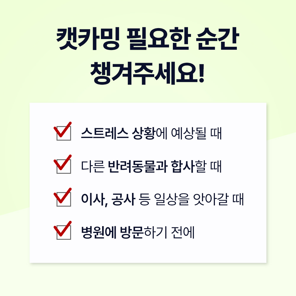 닥터바이 캣카밍 고양이 스트레스 영양제 합사 이사 분리불안 안정제 진정제 30포, 1개