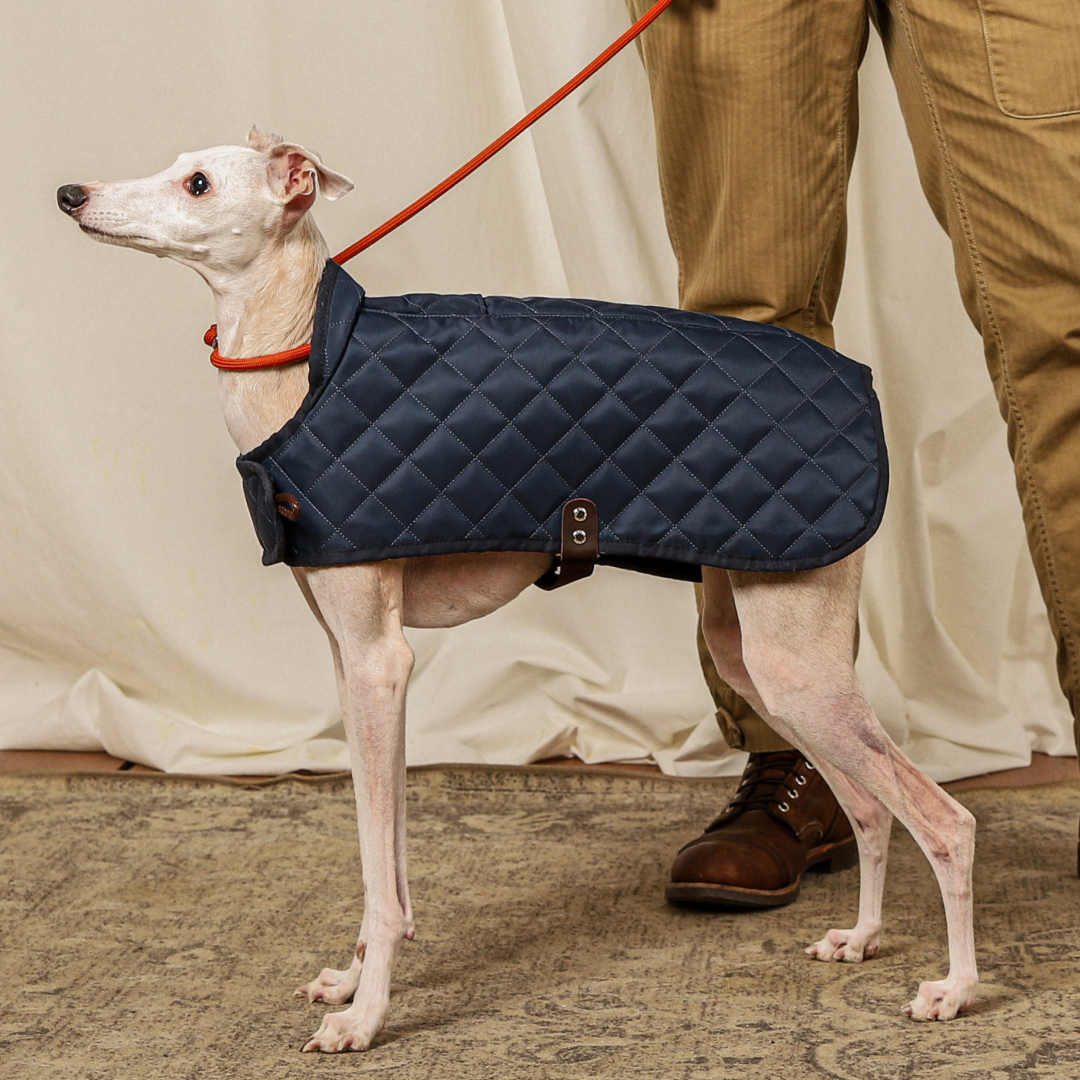 호지 퀼팅자켓 강아지 겨울 패딩 점퍼 방수 방풍 잠바 겨울옷 반려견 소형견 중형견 대형견