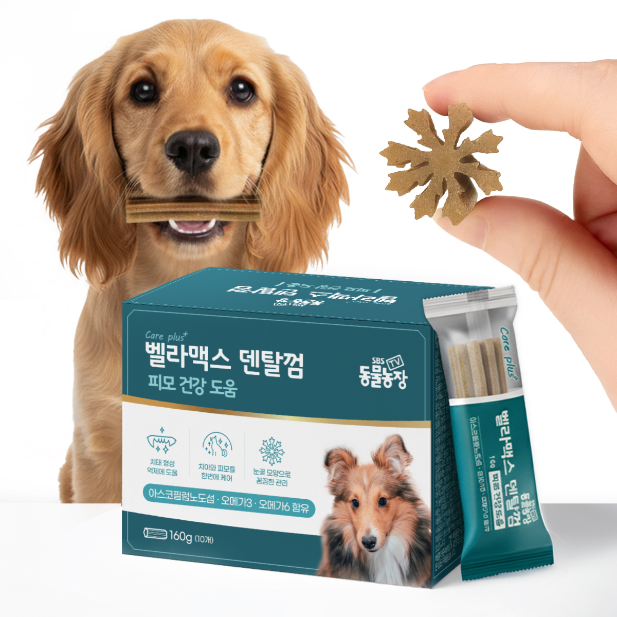 벨라맥스 SBS TV 동물농장 수의사 강아지 영양제 치아 관리 덴탈껌, 160g, 1개