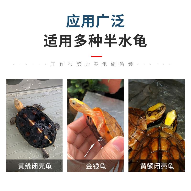 반수생 거북이수조 초대형 플라스틱 수족관 사육장 육지 분리 쉼터 사육 먹이 블랙 40cmX60cm - 상세 이미지 3