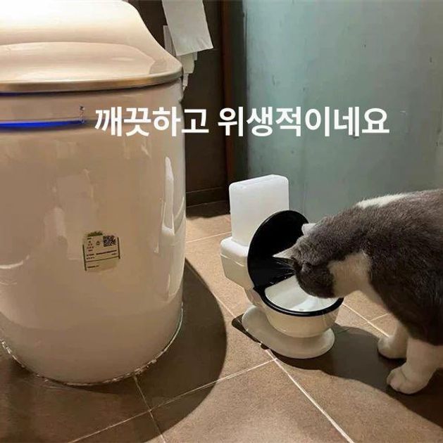 고양이 강아지 대형 자동급수기 무전원 음수대 세정형 물그릇 변기 그릇+600ml 물병 고양이 소형견 - 상세 이미지 3