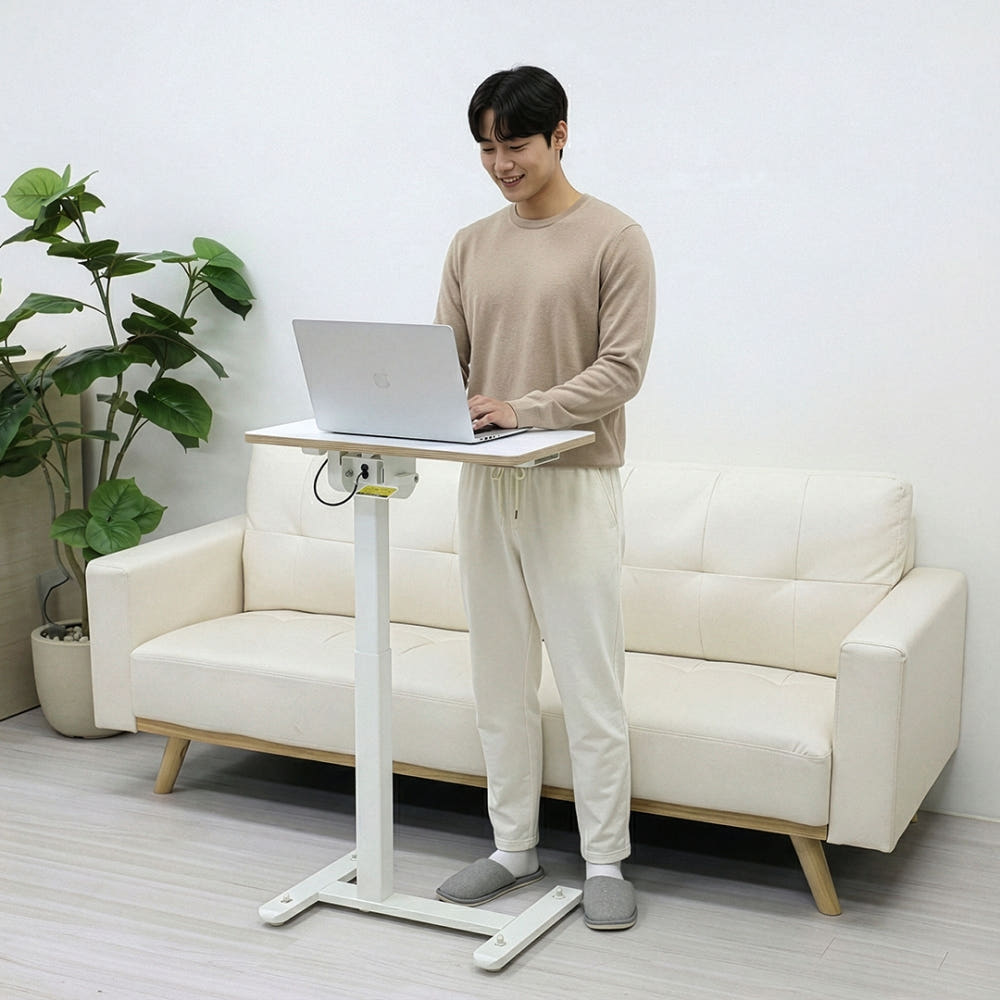 핏쳐 높이 조절 양방향 각도 조절 소파 침대 사이드 테이블 TS3L 가격 추이 핏쳐 핏쳐 높이 조절 양방향 각도 조절 소파 침대 사이드 테이블 TS3L - 최저가 99,000원
