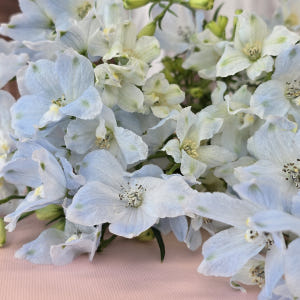 유스풀몰 미니델피늄 한다발 꽃 생화 택배 꽃배달 싼곳 솔직 후기 | 실사용자 리뷰 분석 - 상품 이미지 3