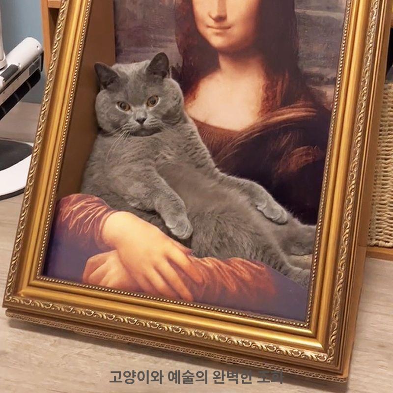 모나리자 고양이 사계절 캣하우스 고양이집 삼각형 모나리자 고양이 둥지 7.5kg까지 적합 - 상세 이미지 3