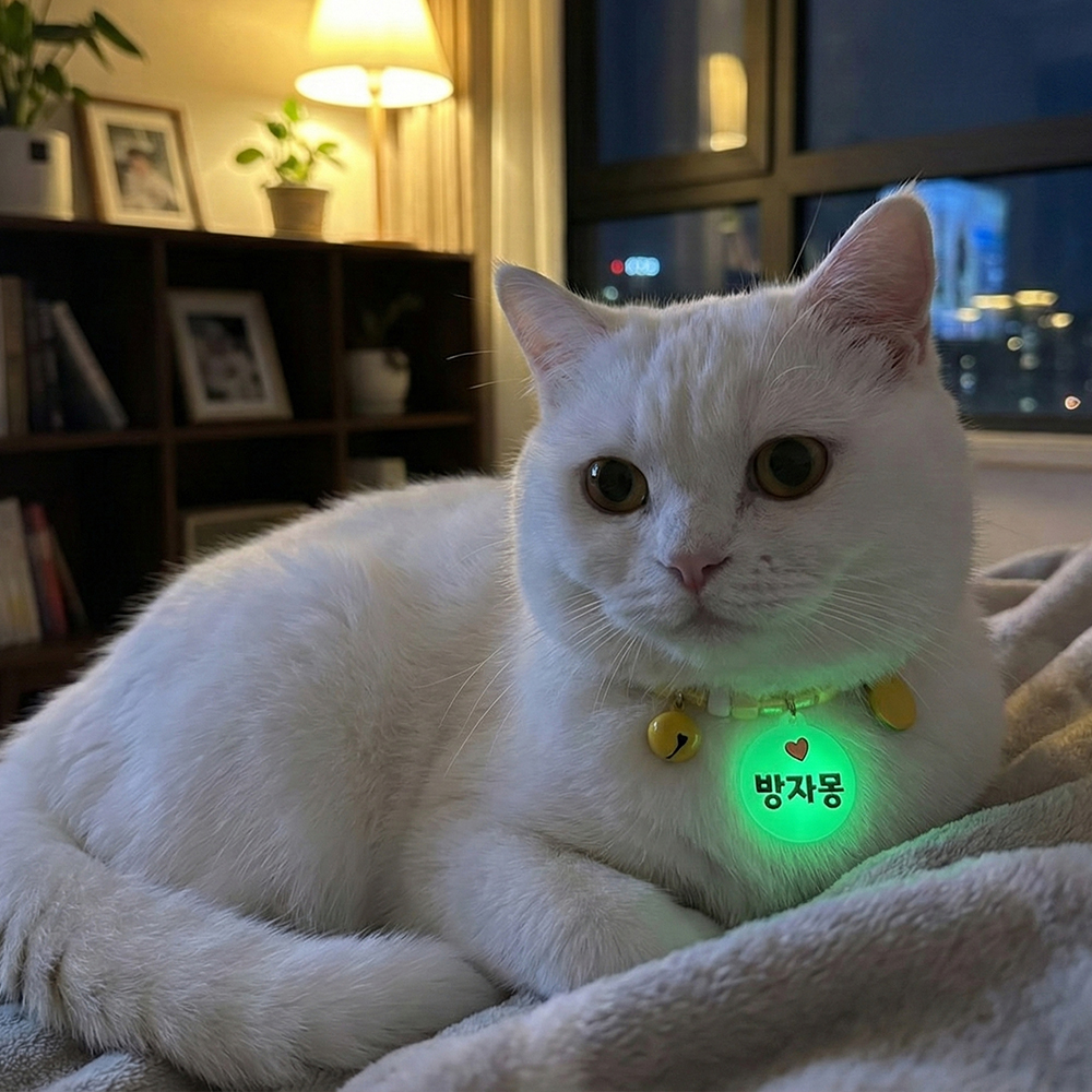 야광 이름표 비즈 고양이 목걸이 - 상품 이미지