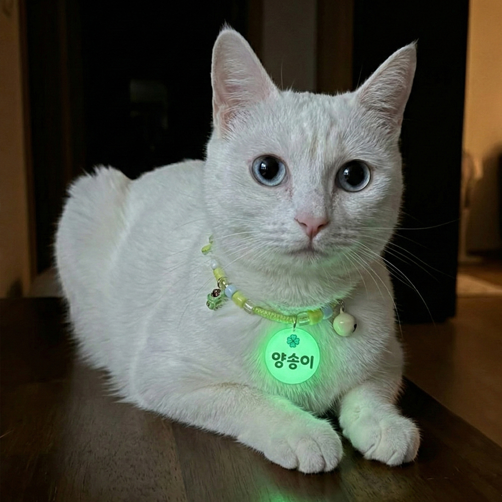 야광 이름표 비즈 고양이 목걸이 - 상세 이미지 4