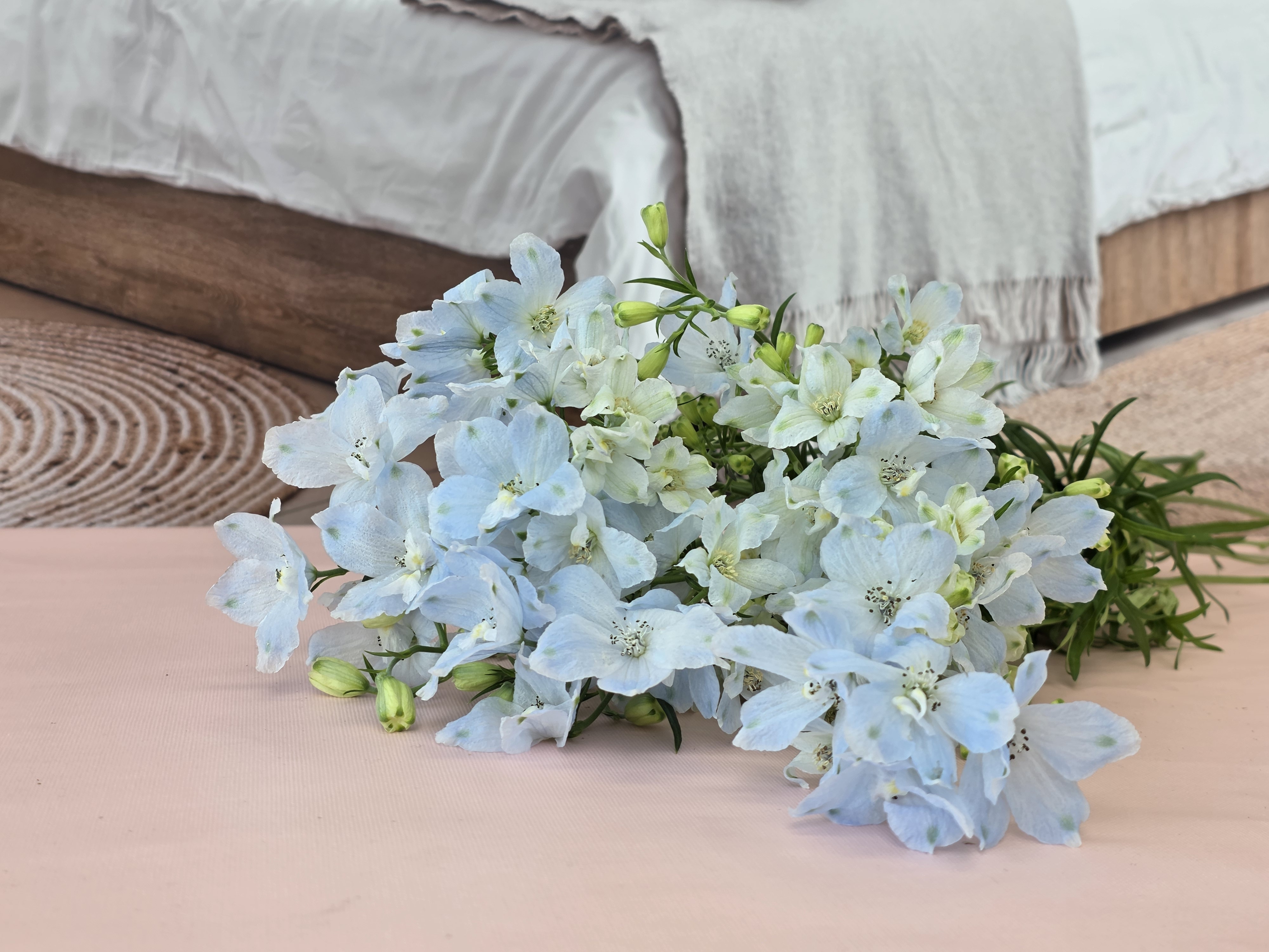 유스풀몰 미니델피늄 한다발 꽃 생화 택배 꽃배달 싼곳 이미지 4