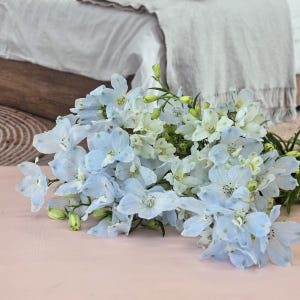 유스풀몰 미니델피늄 한다발 꽃 생화 택배 꽃배달 싼곳 솔직 후기 | 실사용자 리뷰 분석 - 상품 이미지 4