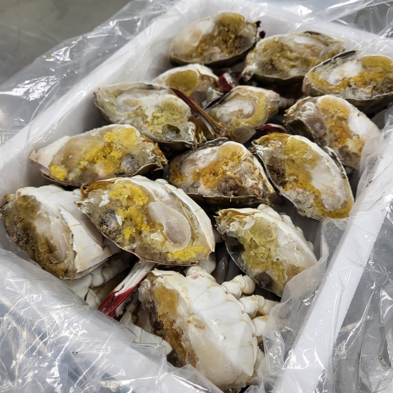국내산 냉동 절단 꽃게 2kg 하프절단 암꽃게 랜덤 - 상품 이미지