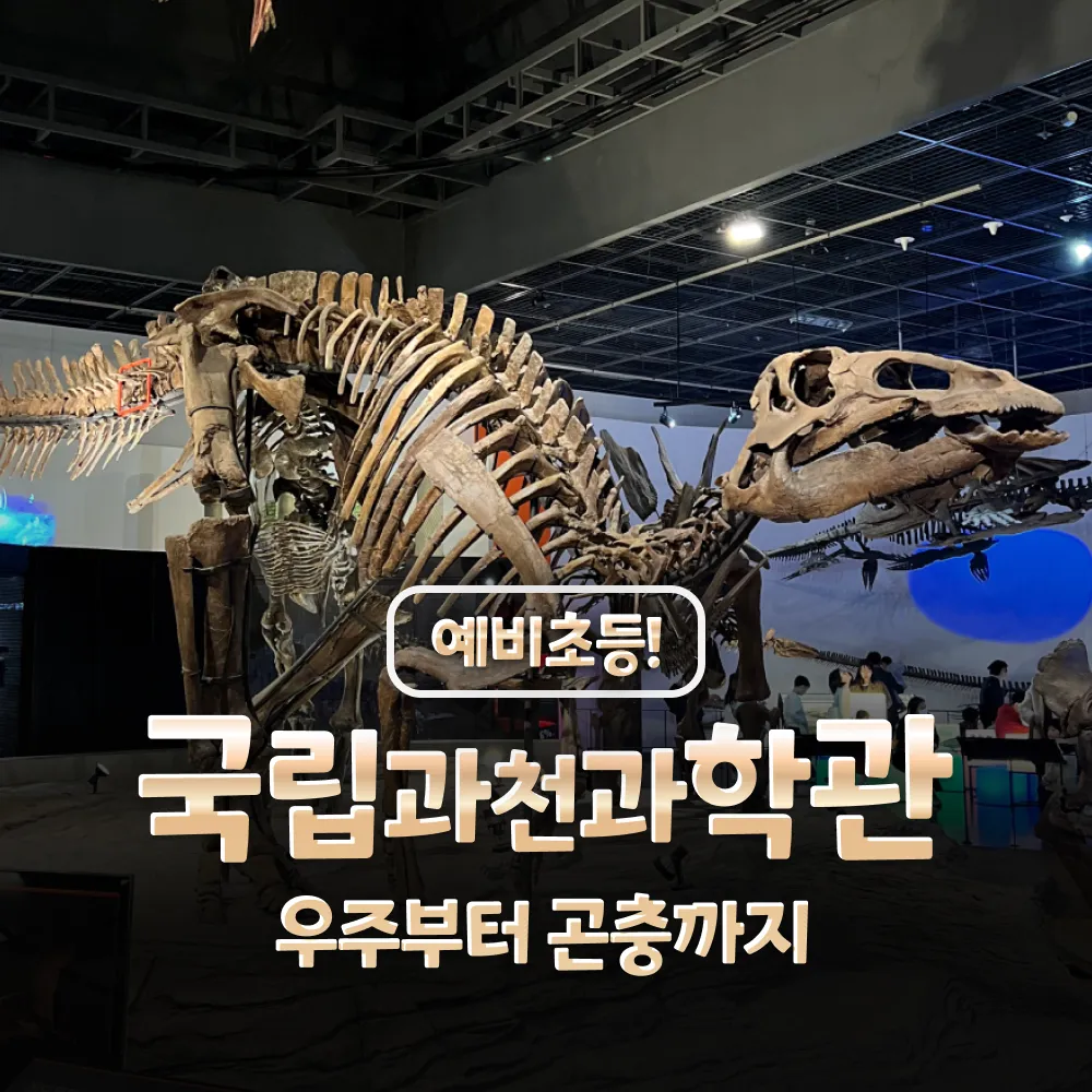 [예비초등] 국립과천과학관 과학체험 주말 특강 어린이 체험학습 도슨트 해설 겨울방학 얼리버드 by 새싹여행