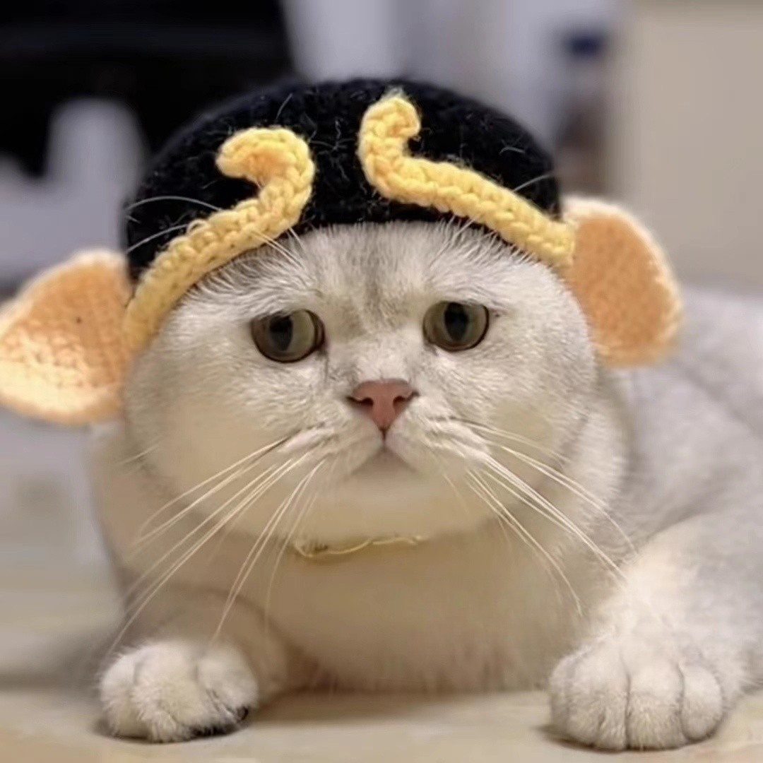 냥공이 고양이 강아지 귀 모자 애완동물 촬영용 의상 액세서리 손오공 개구리 모자 S