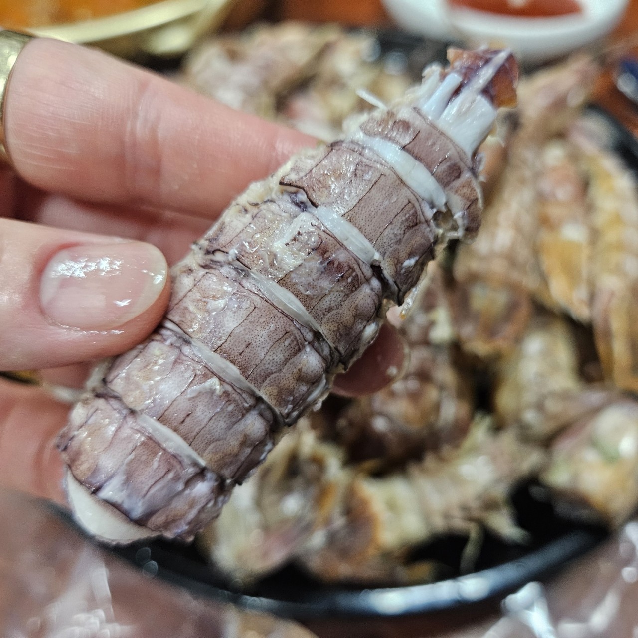 서해안 활 갯가재 쏙 1kg 찜 가재장 라면 탕용 생물 가재 - 상세 이미지 5