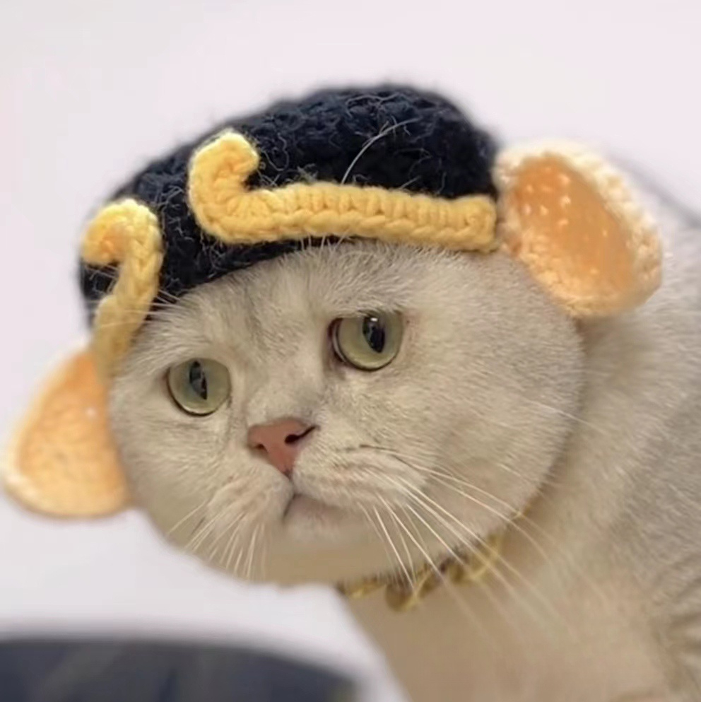 냥공이 고양이 강아지 귀 모자 애완동물 촬영용 의상 액세서리 손오공 개구리 모자 S