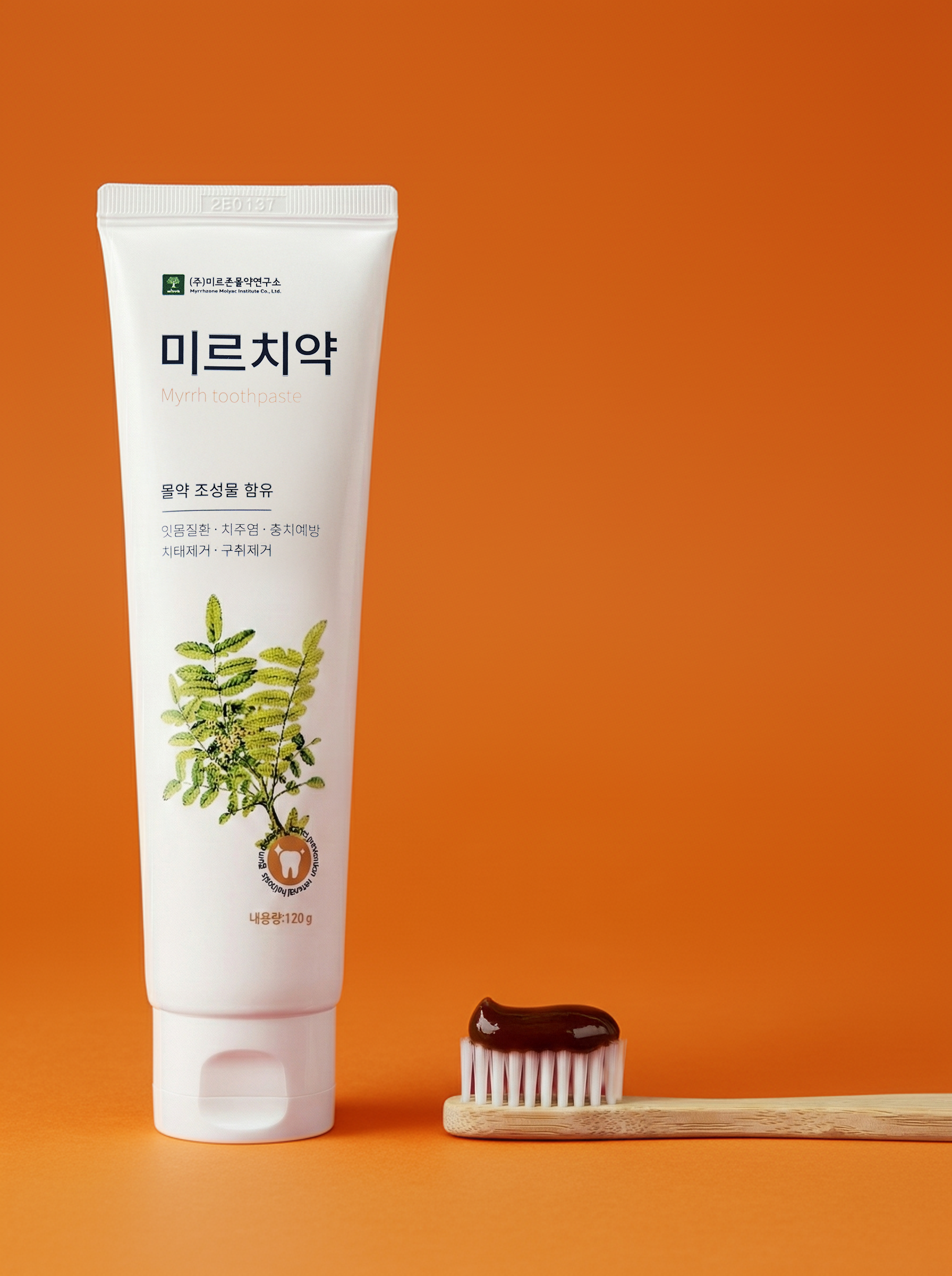 치주염 미르치약 잇몸관리 치주염 예방 구강관리