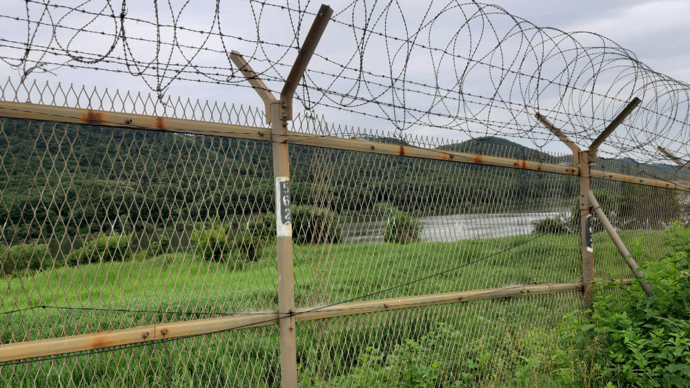 청정DMZ 민통선 재배 저온추출100% 자색돼지감자즙 (100mlx30포) 일동로하스 이미지 7