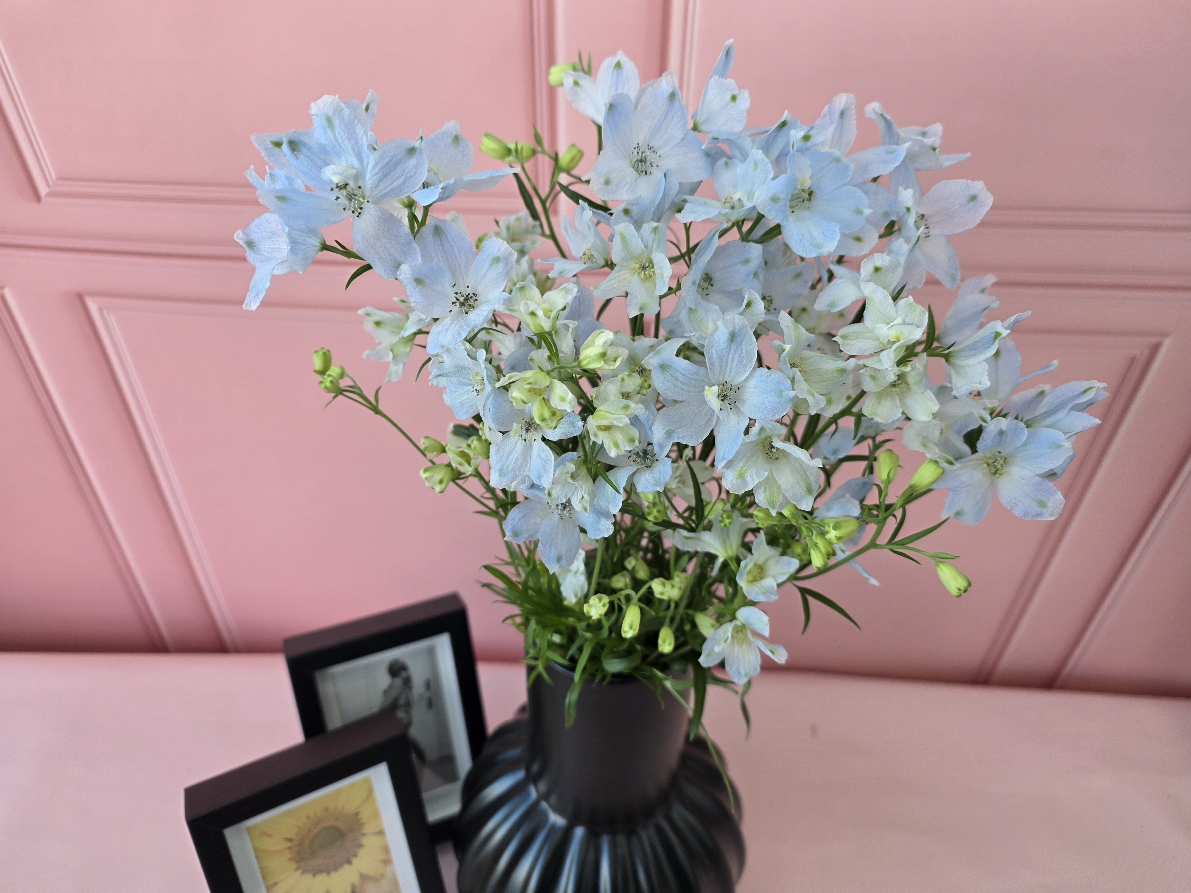 유스풀몰 미니델피늄 한다발 꽃 생화 택배 꽃배달 싼곳 솔직 후기 | 실사용자 리뷰 분석 - 대표 이미지