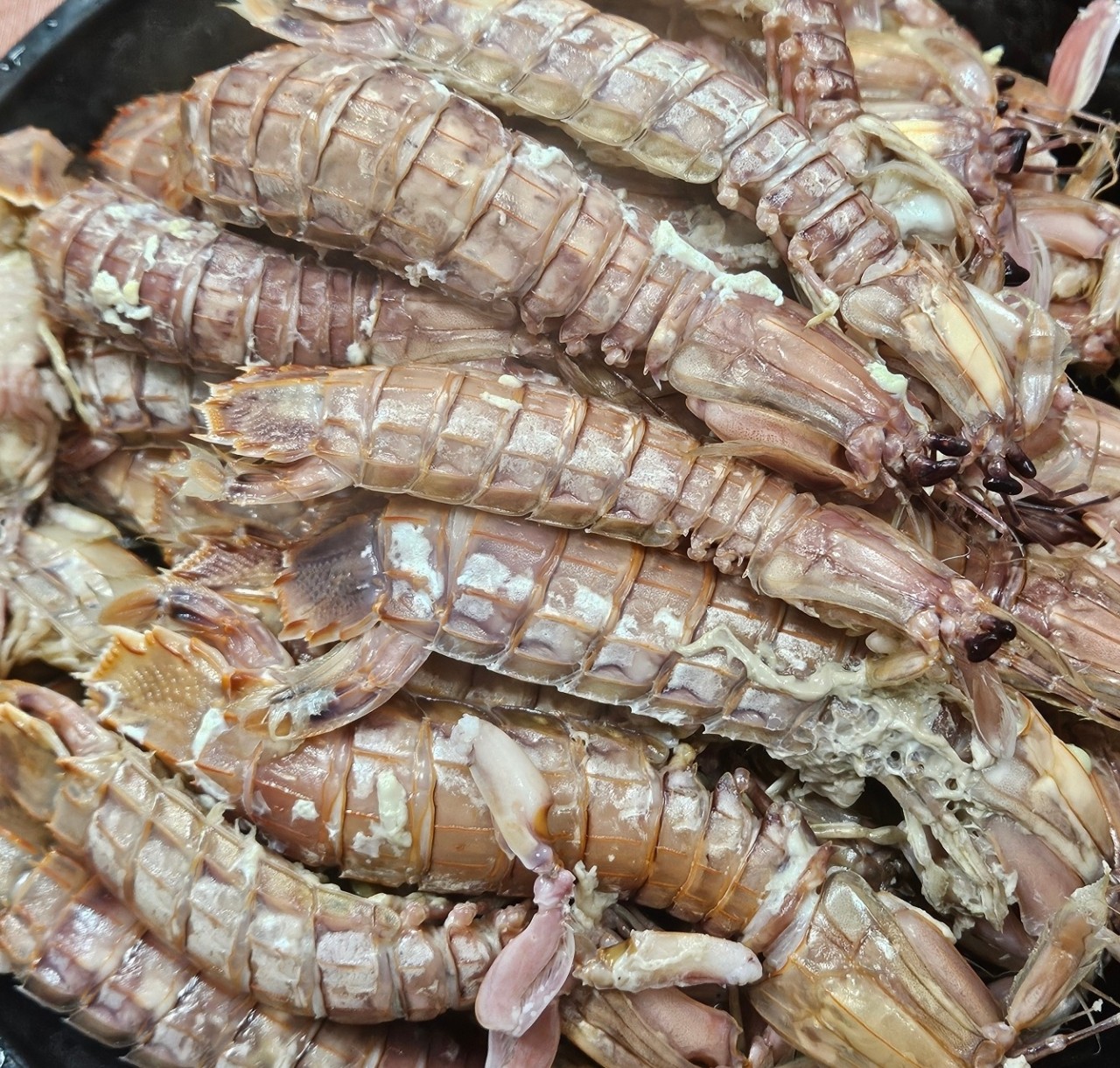 서해안 활 갯가재 쏙 1kg 찜 가재장 라면 탕용 생물 가재 이미지 6