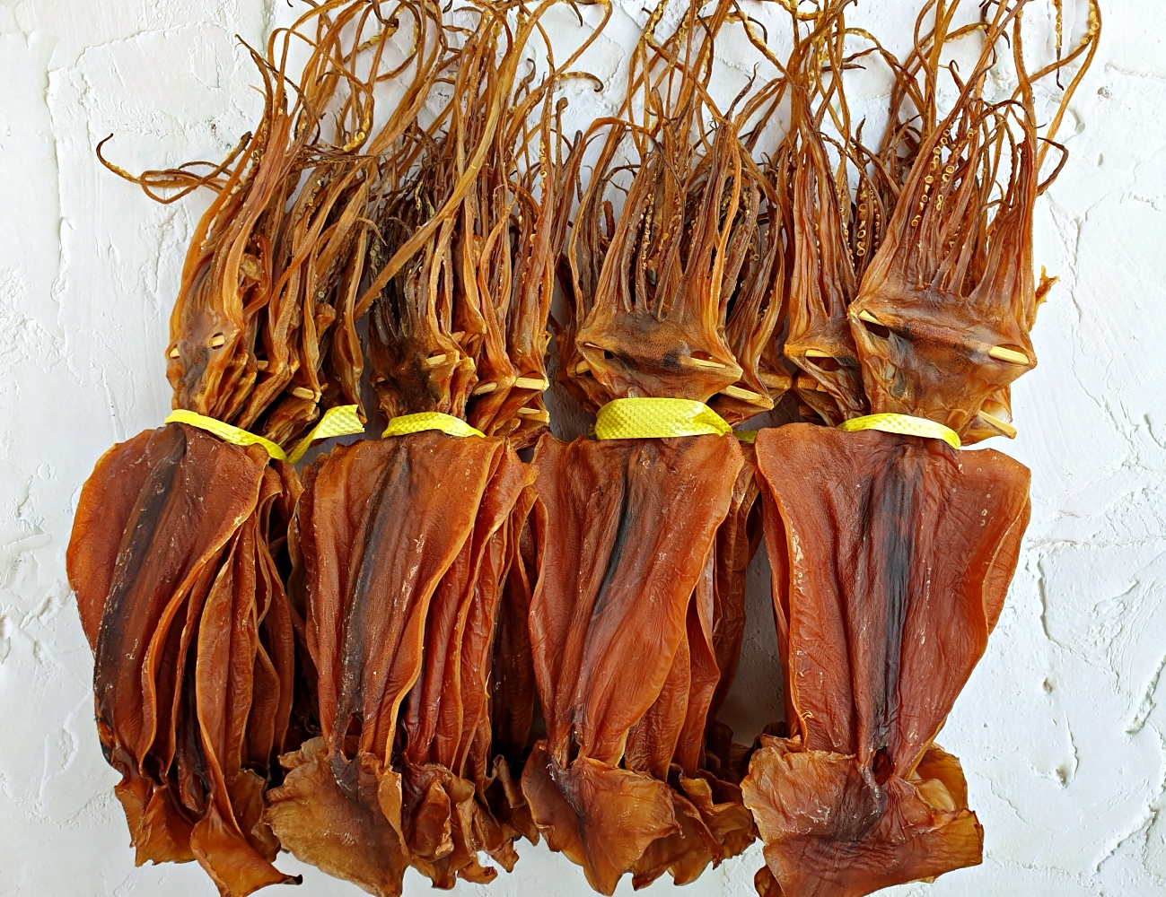 쫄쫄이오징어 마른 건오징어 1kg 1.3kg 5마리 10마리 중 대 경상남도 국내가공 - 상품 이미지