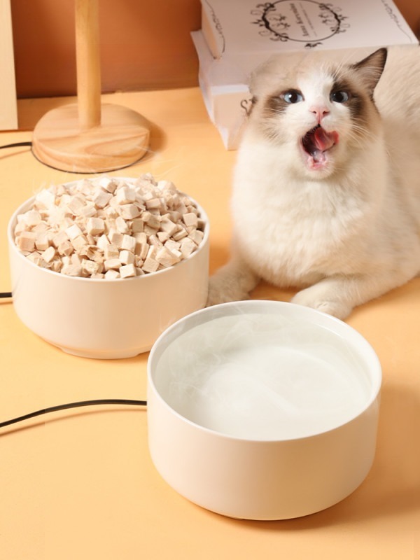 모브릭 강아지 고양이 보온 물그릇(usb타입) 가열 물통 반려동물 얇은 연두색 도자기 그릇 소형 - 상세 이미지 2