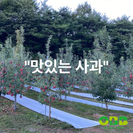 thumbnail-8