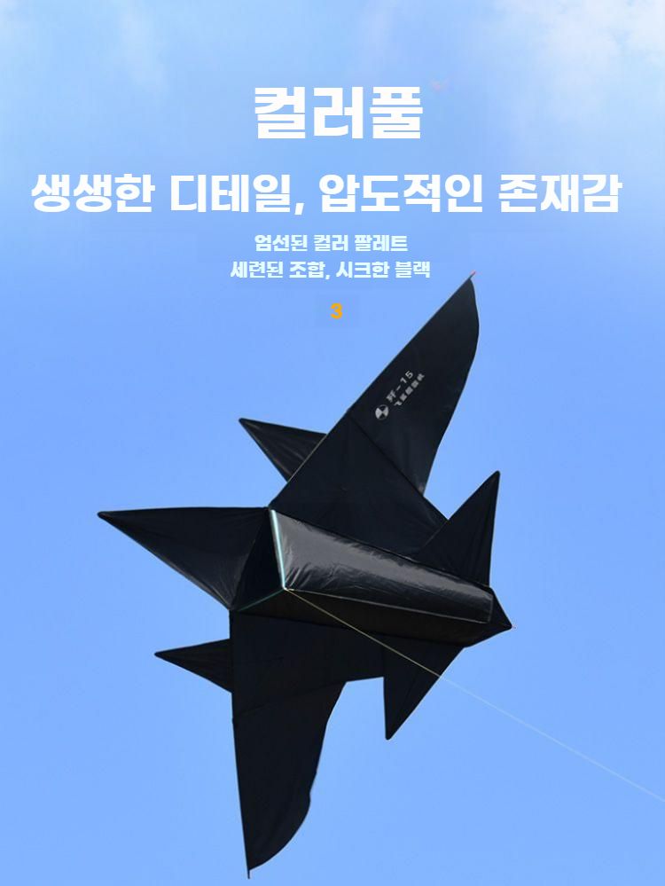 전투기 연 연날리기 비행기 날리기 항공기모형 글라이더 소형 블랙 J-15 + 260m 라인 - 상세 이미지 5
