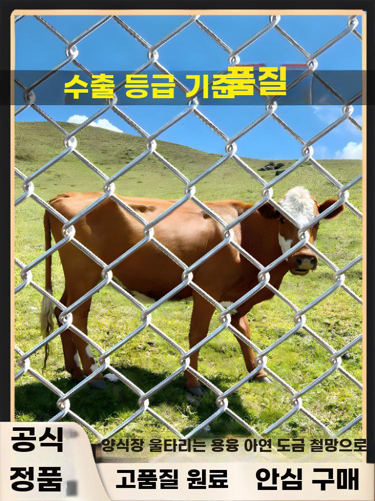 아연도금 가축 과수원 보호망 철망 사육장 울타리 휀스 - 상세 이미지 2