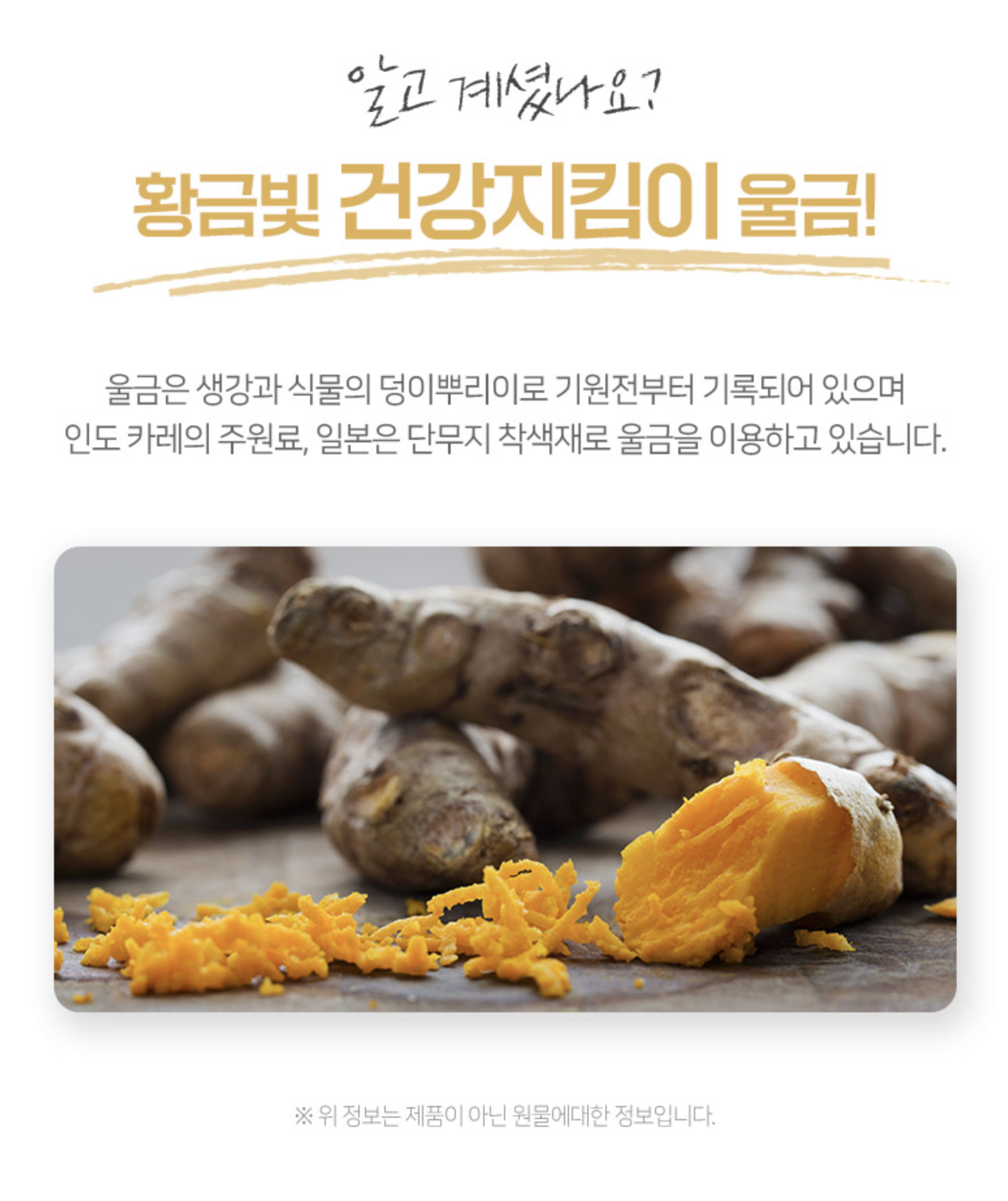 진도강황가루1kg 커큐민가루 울금분말 - 상세 이미지 4