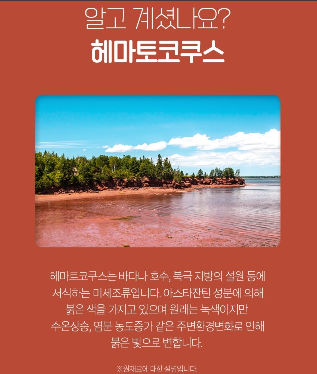 헤마토코쿠스 추출분말 500g 아스타잔틴 루테인 - 상세 이미지 5