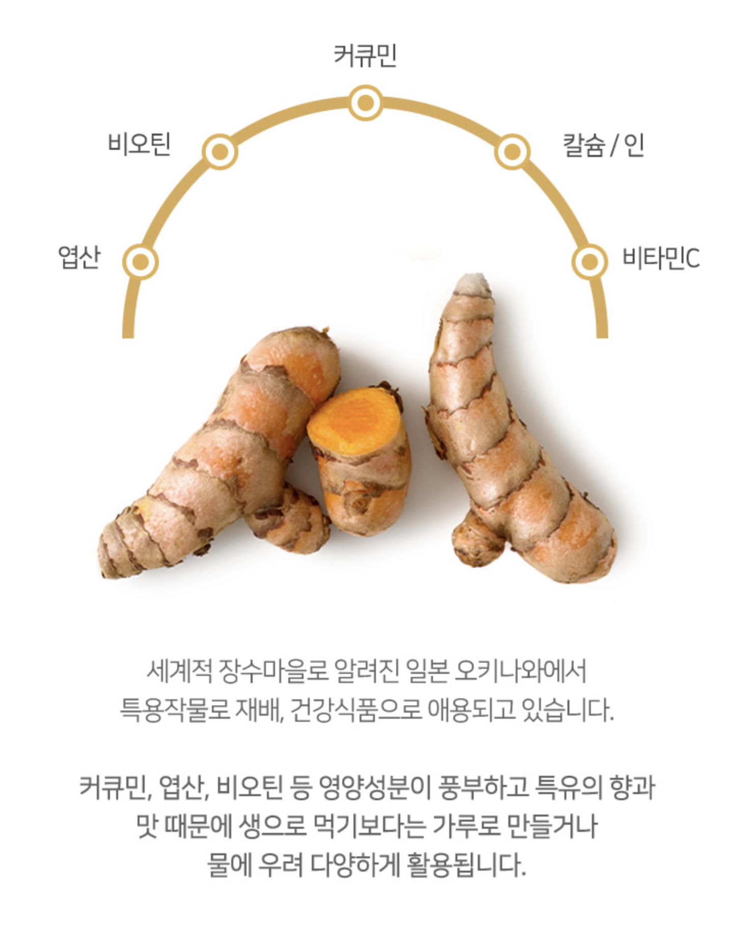 진도강황가루1kg 커큐민가루 울금분말 - 상세 이미지 5